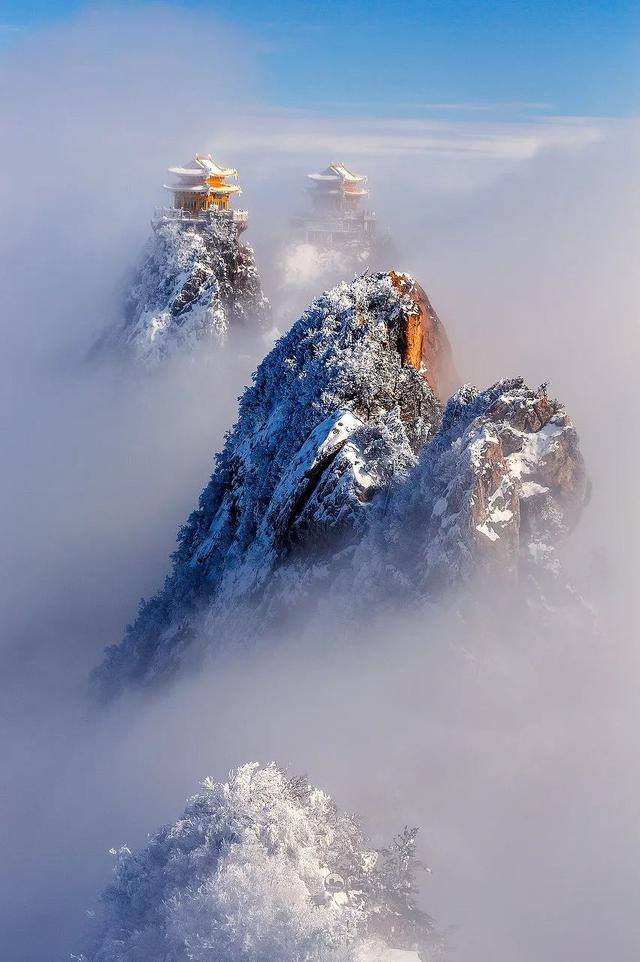 努力赚钱的图片（一个人漫山遍野是为了什么？）