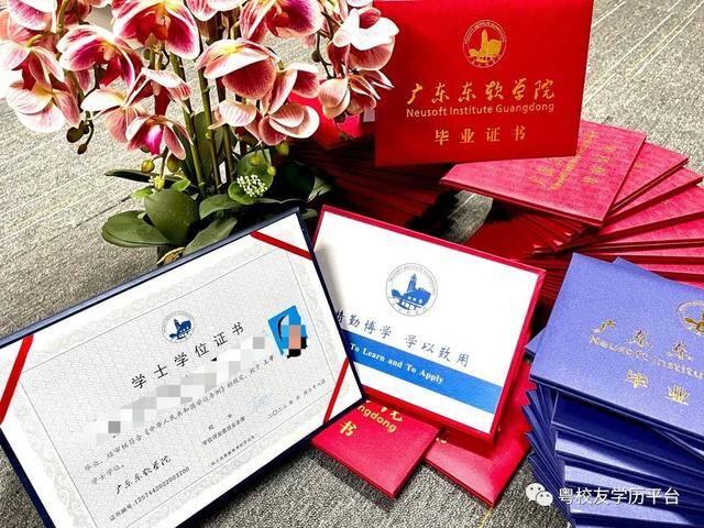 没有学历怎么提升学历（高等教育学历入学条件是怎样的？）