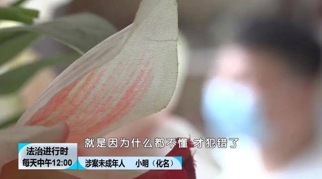 未成年赚钱方法（青春不入歧途，检察官不禁深思）