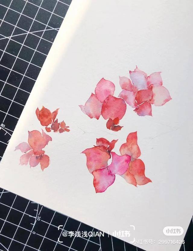 花朵怎么画最漂亮（中国风水彩花卉插画｜李浅浅qian）