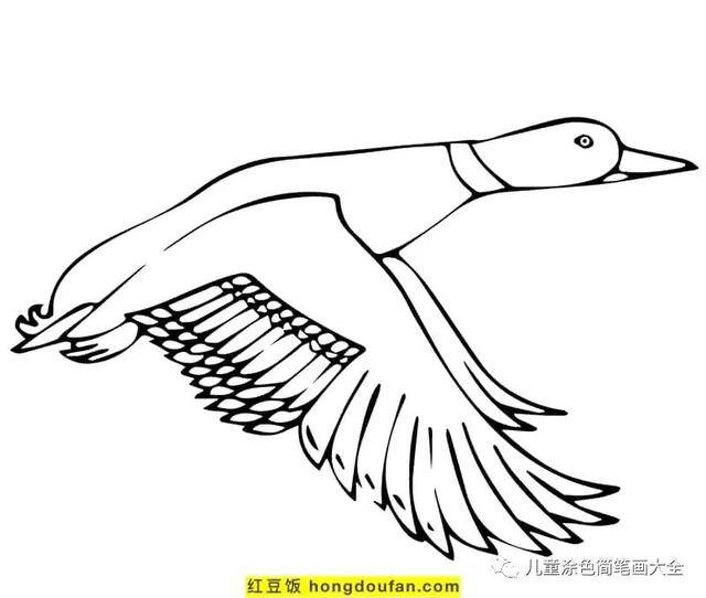 关于夏天的画简单好看（《我的世界》电影海报鸭子着色页）