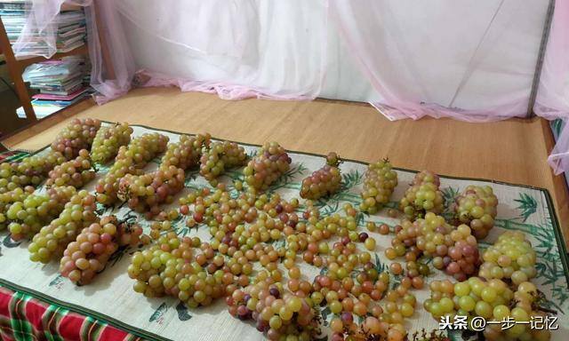 在家做葡萄酒的简单方法（如何自制出美味的葡萄酒）
