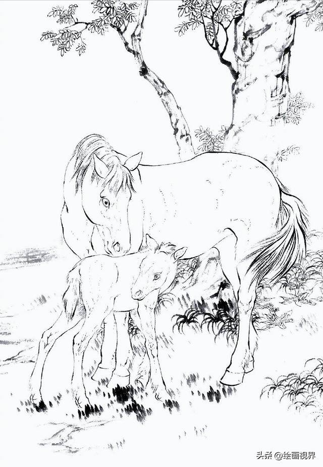 怎么画画既好看又简单（初学者怎么画马的白描线稿）