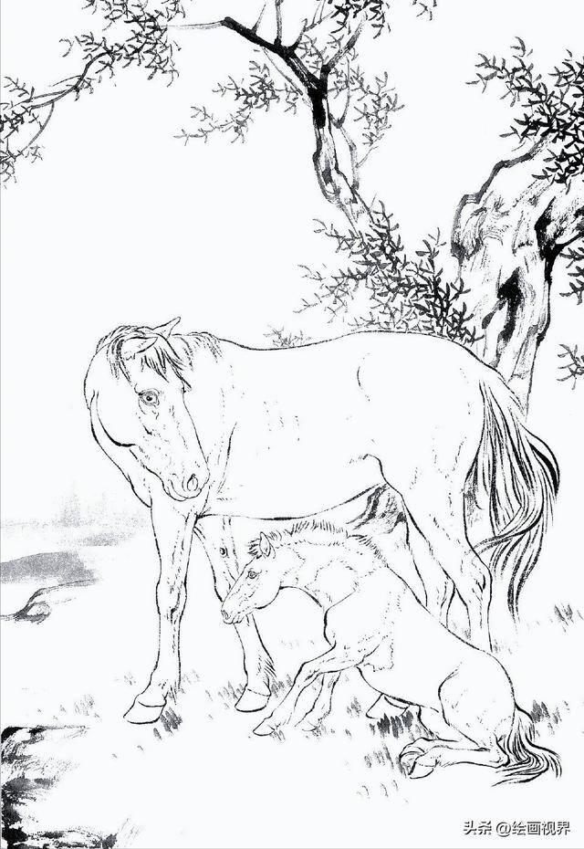 怎么画画既好看又简单（初学者怎么画马的白描线稿）