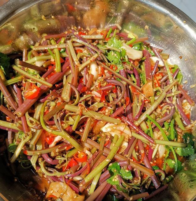 农村常见中草药300种（春天吃什么野菜？）