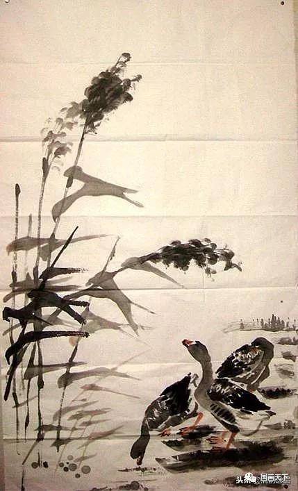 大雁怎么画简单又好看（飞鸿的各种姿态）