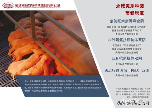 2022年到2023年养猪赚不赚钱（2023年猪价走势分析）