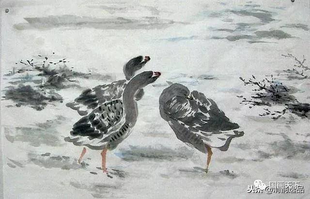 大雁怎么画简单又好看（飞鸿的各种姿态）