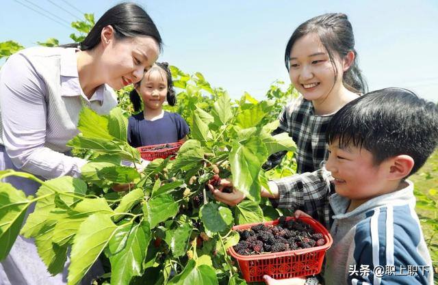在农村做什么生意最赚钱最长远（工农业“剪刀差倒挂”是如何形成的？）