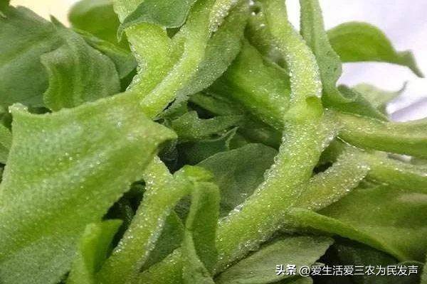 秋季种植什么经济农作物赚钱（秋冬季种植什么蔬菜比较好？）
