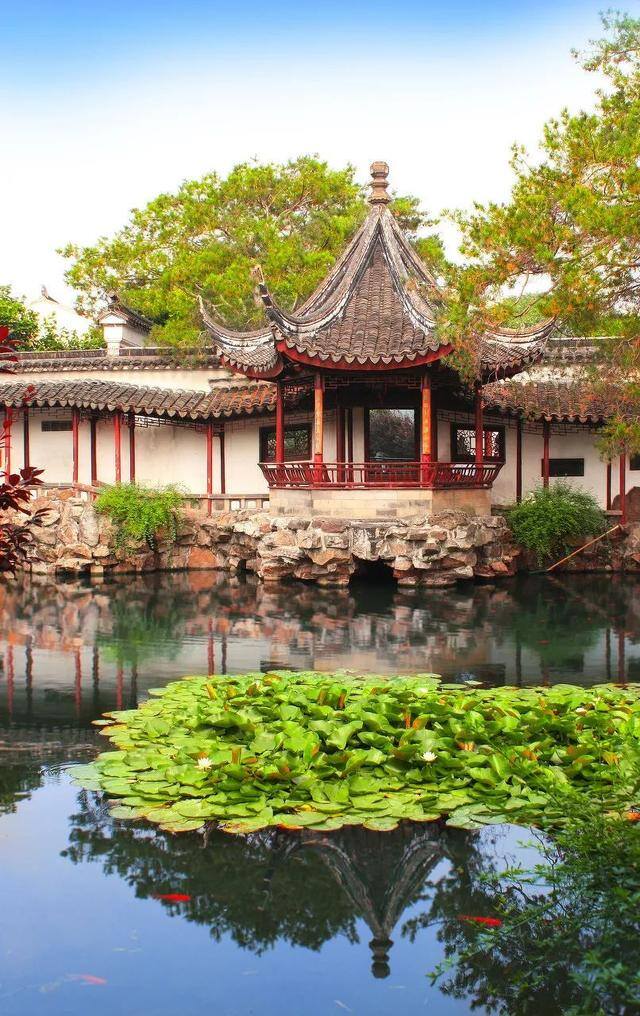 努力赚钱的图片（一个人漫山遍野是为了什么？）