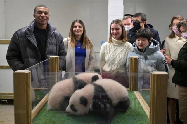 去哪个国家打工最挣钱比较安全（中国租借大熊猫的方式）