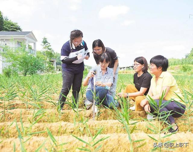 在农村做什么生意最赚钱最长远（工农业“剪刀差倒挂”是如何形成的？）
