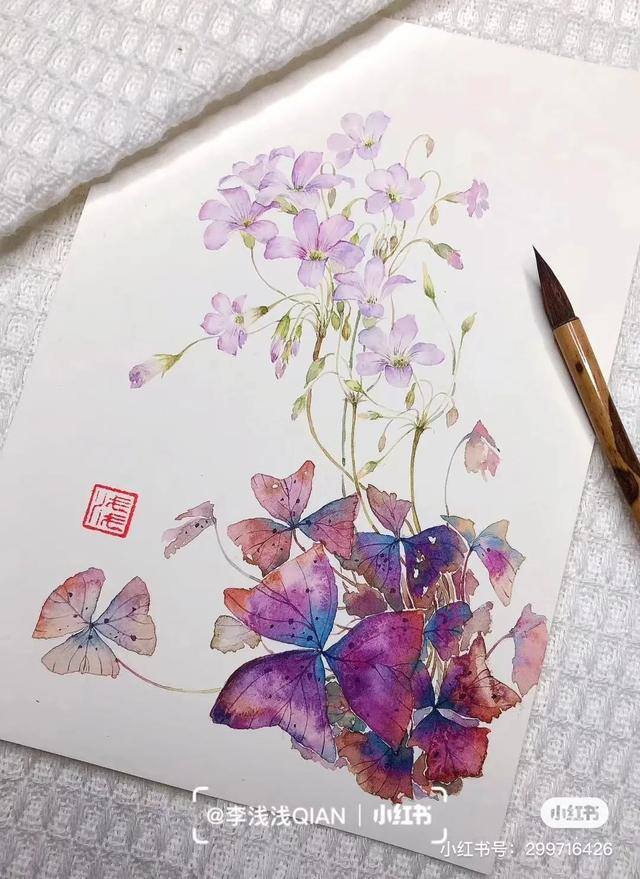 花朵怎么画最漂亮（中国风水彩花卉插画｜李浅浅qian）