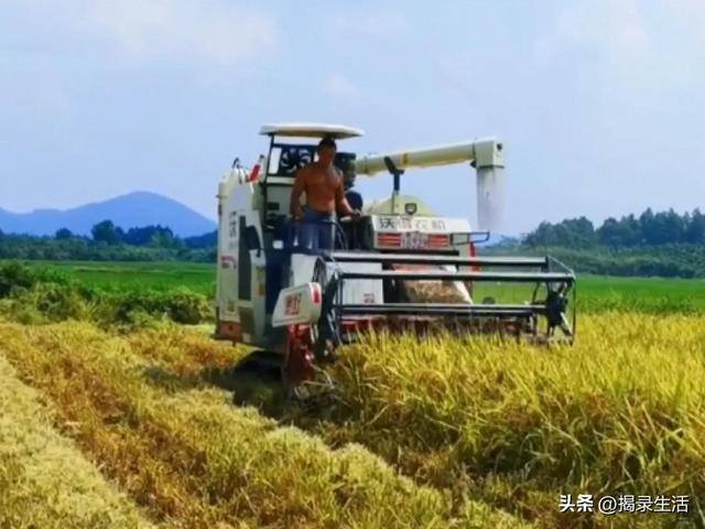 抚州汪云辉在上海做什么生意（汪聪慧，一亩地，他的生活故事）