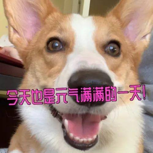 公司新装修孕妇有权不上班（劳动合同协商不成，怎么办？）