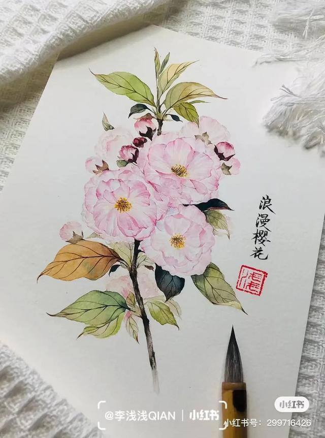 花朵怎么画最漂亮（中国风水彩花卉插画｜李浅浅qian）