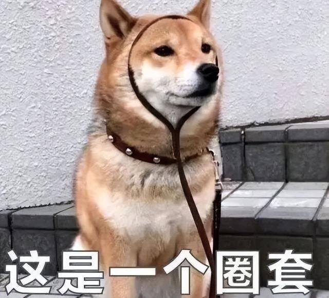 做公益任务赚钱是真的吗（「净网2019」刷单诈骗的套路）