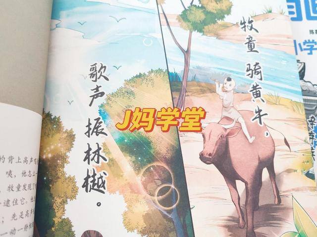 小学学历怎么提升（如何提高孩子的学习效率？）