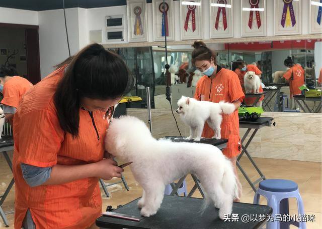 女孩子学什么手艺好学又赚钱（女生学什么手艺比较好？）
