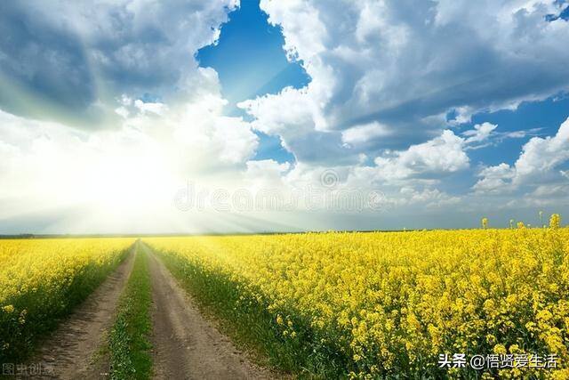 门口外面放什么植物好风水（大门口养什么花比较好？）