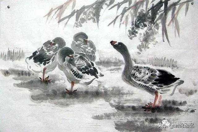 大雁怎么画简单又好看（飞鸿的各种姿态）