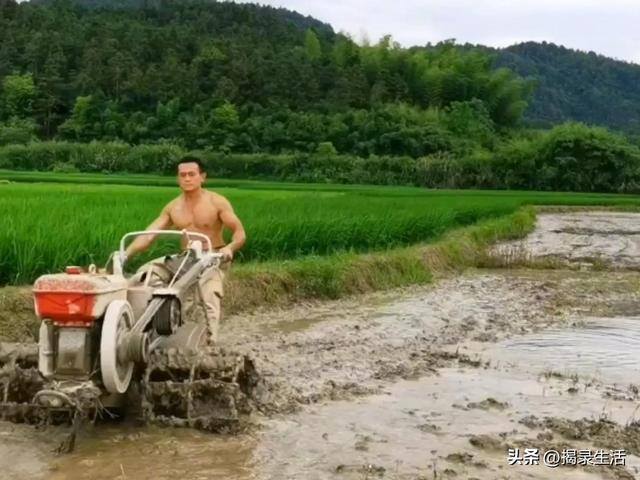抚州汪云辉在上海做什么生意（汪聪慧，一亩地，他的生活故事）