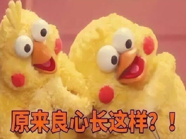 赚钱最快的游戏无广告无门槛（《灵猫传》宣布停运，原朝夕光年服将在2022年10月31日停运！）