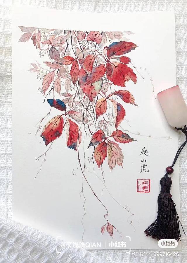花朵怎么画最漂亮（中国风水彩花卉插画｜李浅浅qian）