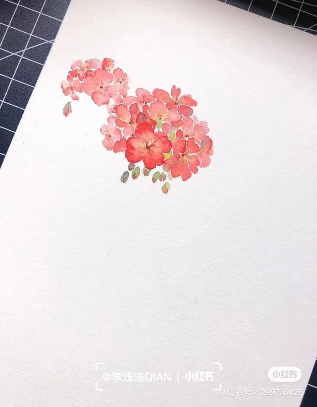 花朵怎么画最漂亮（中国风水彩花卉插画｜李浅浅qian）