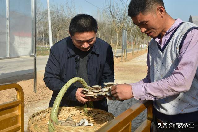 农村小生意（水果经营行业的“不起眼”小生意）