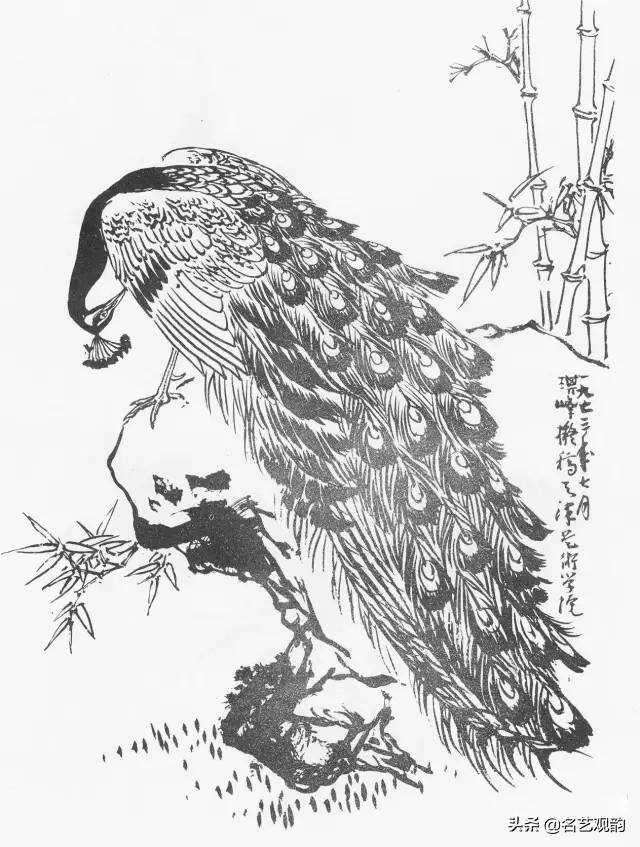 孔雀怎么画简单又漂亮（《花鸟画谱》之孔雀的画法）