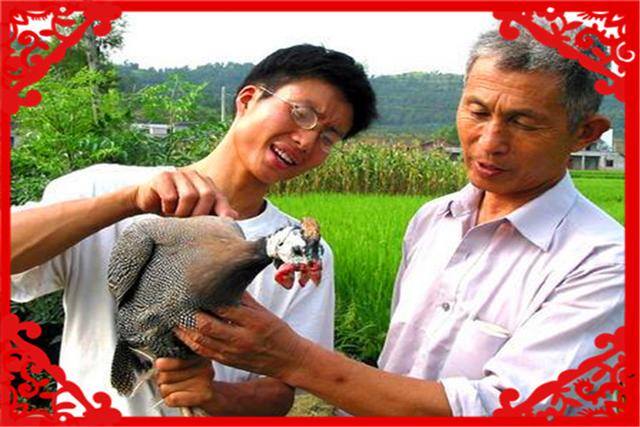 农村养殖的好项目（目前的农村，有哪些种养结合的致富项目？）
