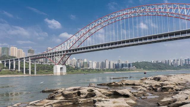 有啥好的养殖项目（2022年养殖项目清单）