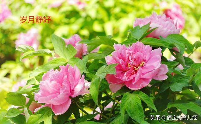 宝妈微信名字简单气质（妈妈给宝宝取名的几个“坑”大众化）