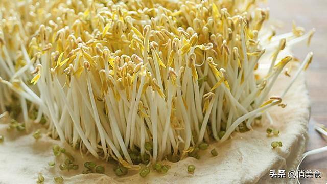 怎样发绿豆芽在家里（用重物压一下，豆芽才会又粗又壮第四：要4天，生豆芽，每天早晚又各浇一次水）