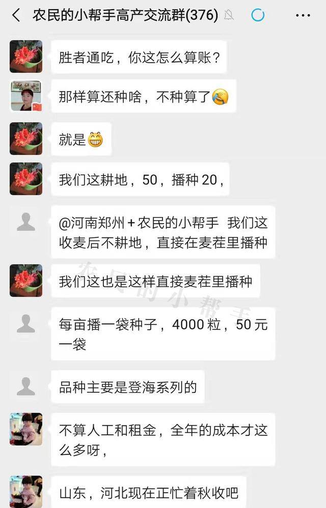 一亩地玉米能赚多少钱（种植一亩地玉米的成本是多少？）