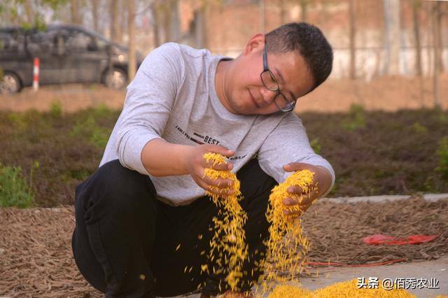 农村创业做什么最适合（农村这四个行业，被称为农村潜力行业）
