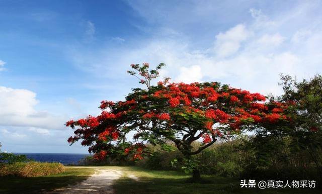 出国打工哪个国家挣钱多（塞班岛旅游记）