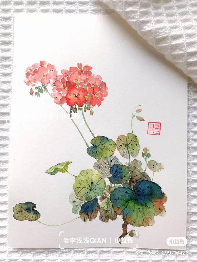 花朵怎么画最漂亮（中国风水彩花卉插画｜李浅浅qian）