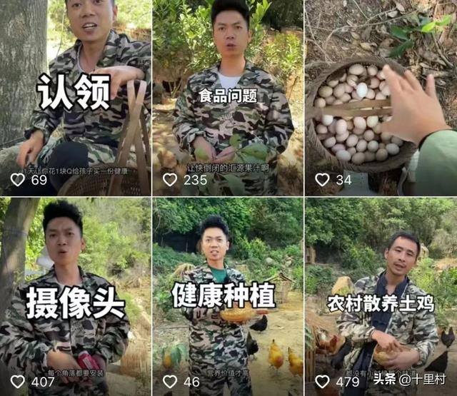 散养土鸡的利润和成本（在线认养模式的挑战）