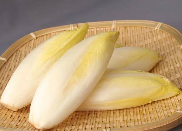 大棚种植什么最赚钱不愁销路（早酥红梨、黄金蜜李、早酥红梨、早酥红梨、早酥红梨、早酥红梨）
