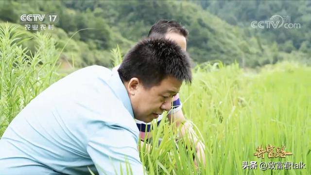 种地赚钱吗（贵州三穗县的农民种地赚钱吗？）