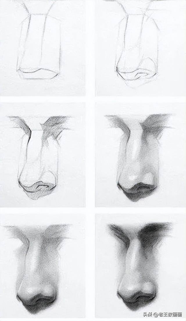 怎么学画画（素描入门教程）