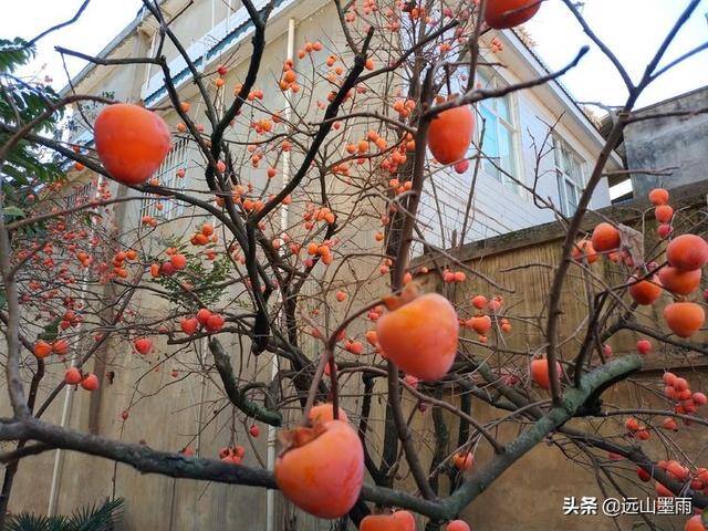附近有没有手工活拿回家做（库周边，遇见小村庄）