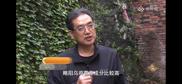 养多少鸡能赚20万（徐士乾养殖乌鸡失败，妻子的一句话，让他气走妻子）