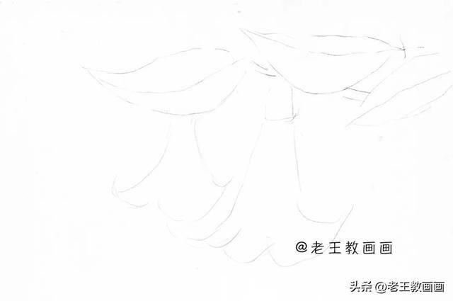如何画花朵好看又简单（曼陀罗线描手稿，初学者都可以跟着临摹）