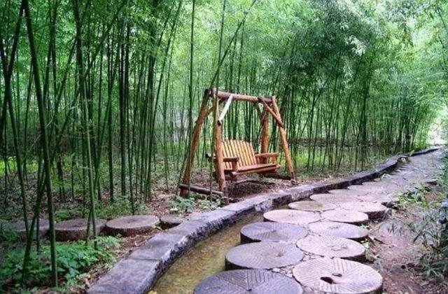 农村种什么好（农村院坝栽种什么树好？）