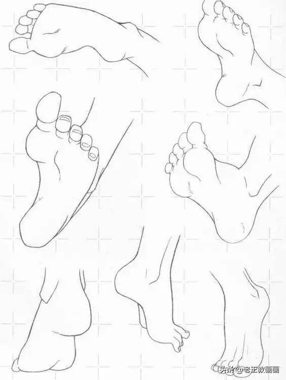 画画教学（50个素描基础教程）