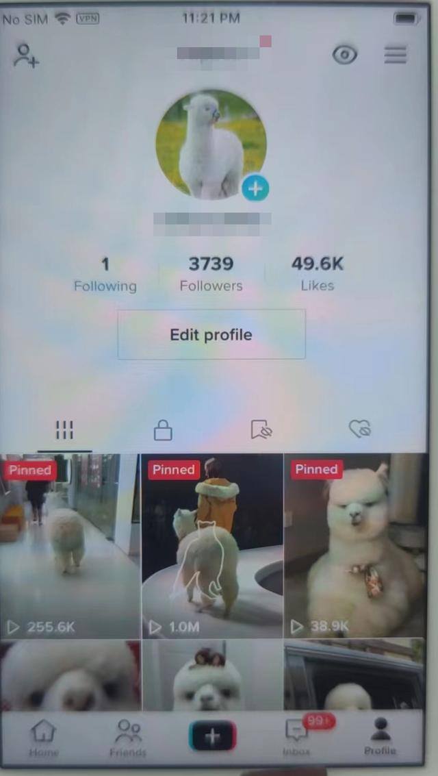 怎样赚钱最快最有效6个方法（海外版tiktok开店赚钱方法）